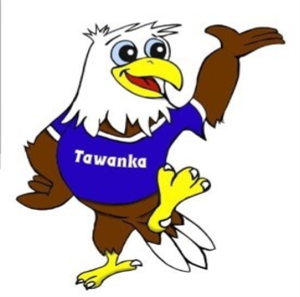 Tawanka Eagle 